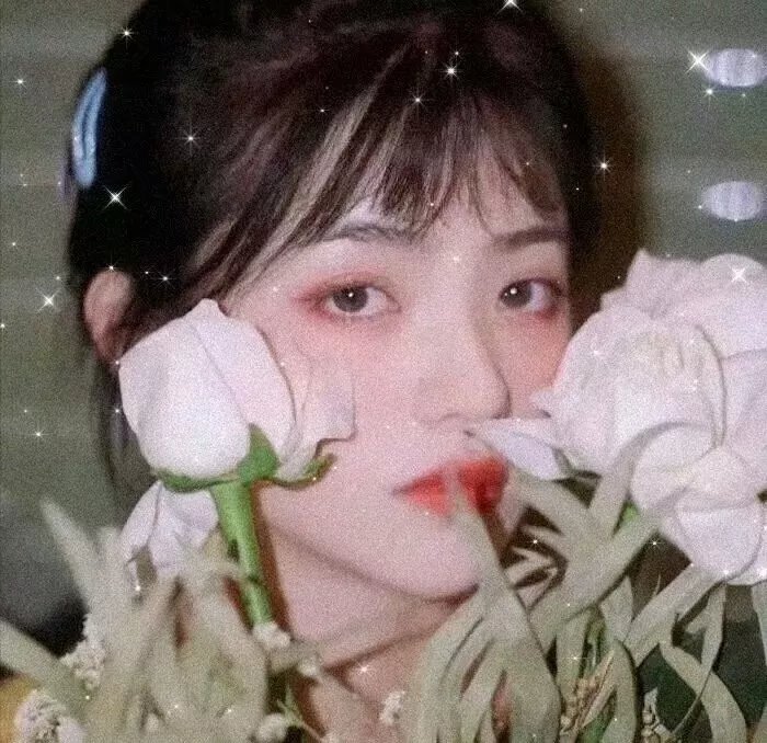 沉睡的哨兵